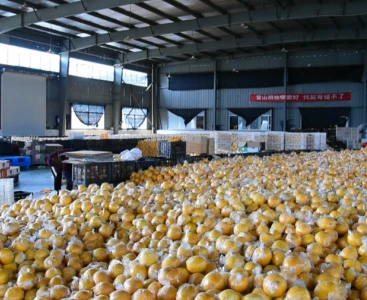 順豐快遞給手動液壓搬運車消毒，保障生鮮瓜果食品安全